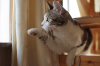 DSCF0145_2.jpg